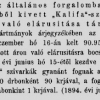 1894.06.20. Kalifából Sport