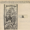 1905.01.05. Millennium hüvely
