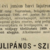 1906.06.15. Tulipános Szív papír és hüvely