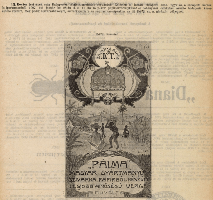 1907.01.28. Pálma papír és hüvely 1907.01.28. Pálma papír és hüvely