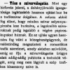 1907.06.13. Tilos a szivarválogatás