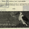 1911.10.12. Marabu papír és hüvely