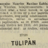 1912.03.31. Tulipán papír és hüvely