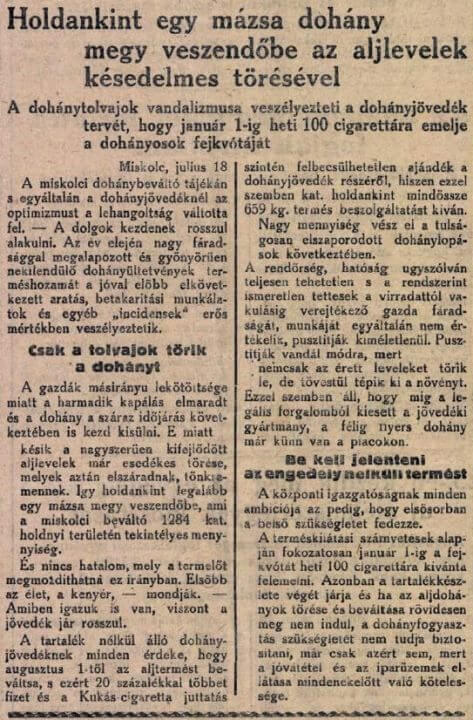 1946.07.19. Dohánytermesztés