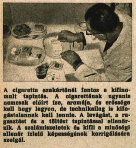 1964.09.13. Cigarettaszakértő