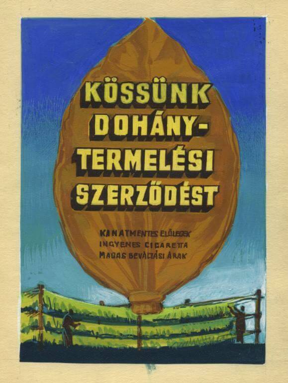 Dohánytermelési szerződés 02. Dohánytermelési szerződés 02.