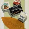 Export cigaretták 2.