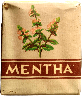 Mentha 1. Mentha 1.