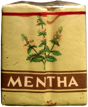 Mentha 2. Mentha 2.
