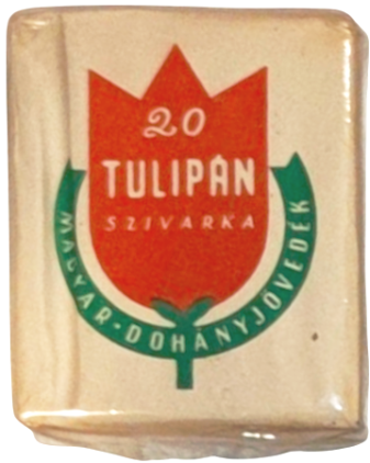 Tulipán 2.