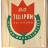 Tulipán 2.