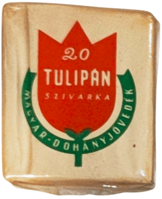 Tulipán 2. Tulipán 2.