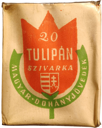 Tulipán 1. Tulipán 1.