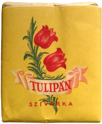 Tulipán 1. Tulipán 1.