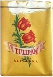 Tulipán 2. Tulipán 2.