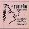Tulipán cigaretta 2.