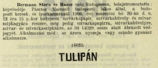 1906.03.30. Tulipán papír és hüvely 2.