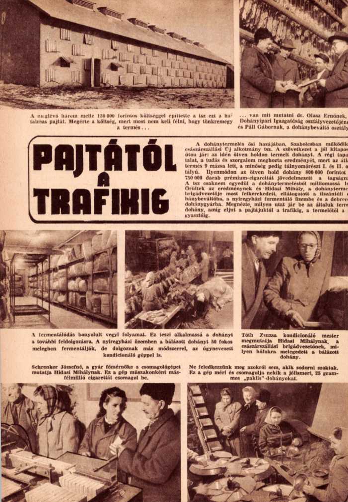 1954.12.01. Dohányipar