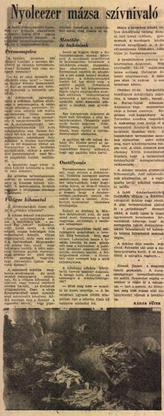 1972.08.09. 8000 mázsa szívnivaló