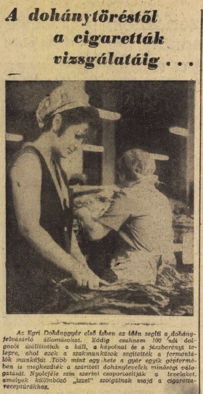 1973.09.12. A dohány útja