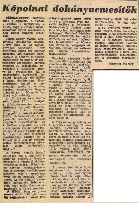 1974.01.06. Kápolnai dohánynemesítők