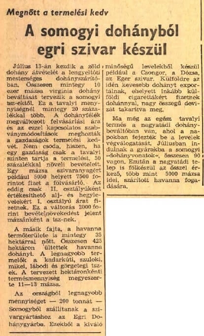 1976.07.04. Somogyi dohány