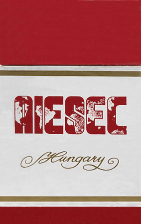AIESEC 2. AIESEC 2.