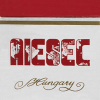 AIESEC 2.