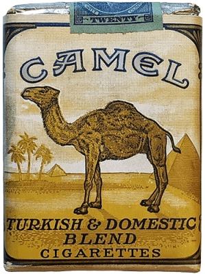 Camel 1. Camel 1.