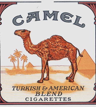 Camel 3. Camel 3.