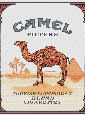 Camel 5.