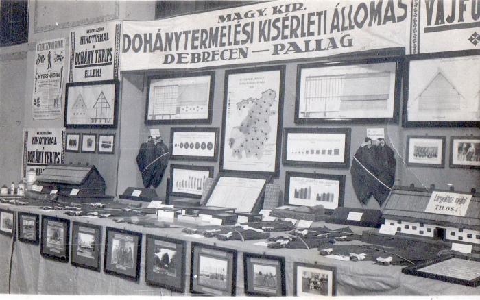 Dohánytermelési Kísérleti Állomás