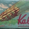 Kalász hüvely - üres