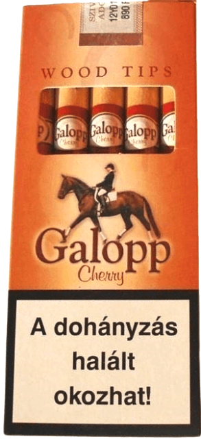 Galopp 1.