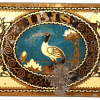 Ibis 8.