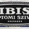Ibis 6.