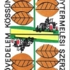 Dohánytermelési szerződés - 1967.