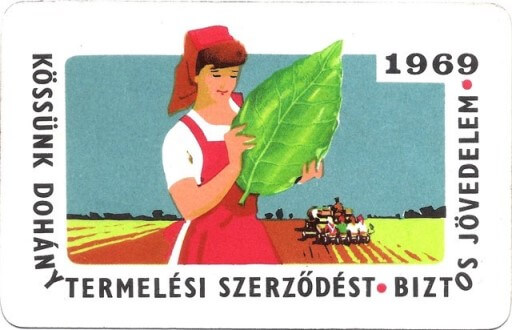 Dohánytermelési szerződés - 1969.