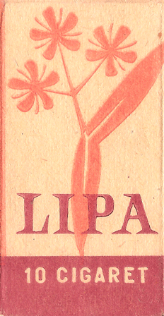Lipa Lipa