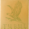 Nikotex-Turul