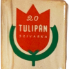 Tulipán 3.